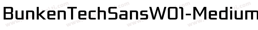 BunkenTechSansW01-Medium Regular字体转换